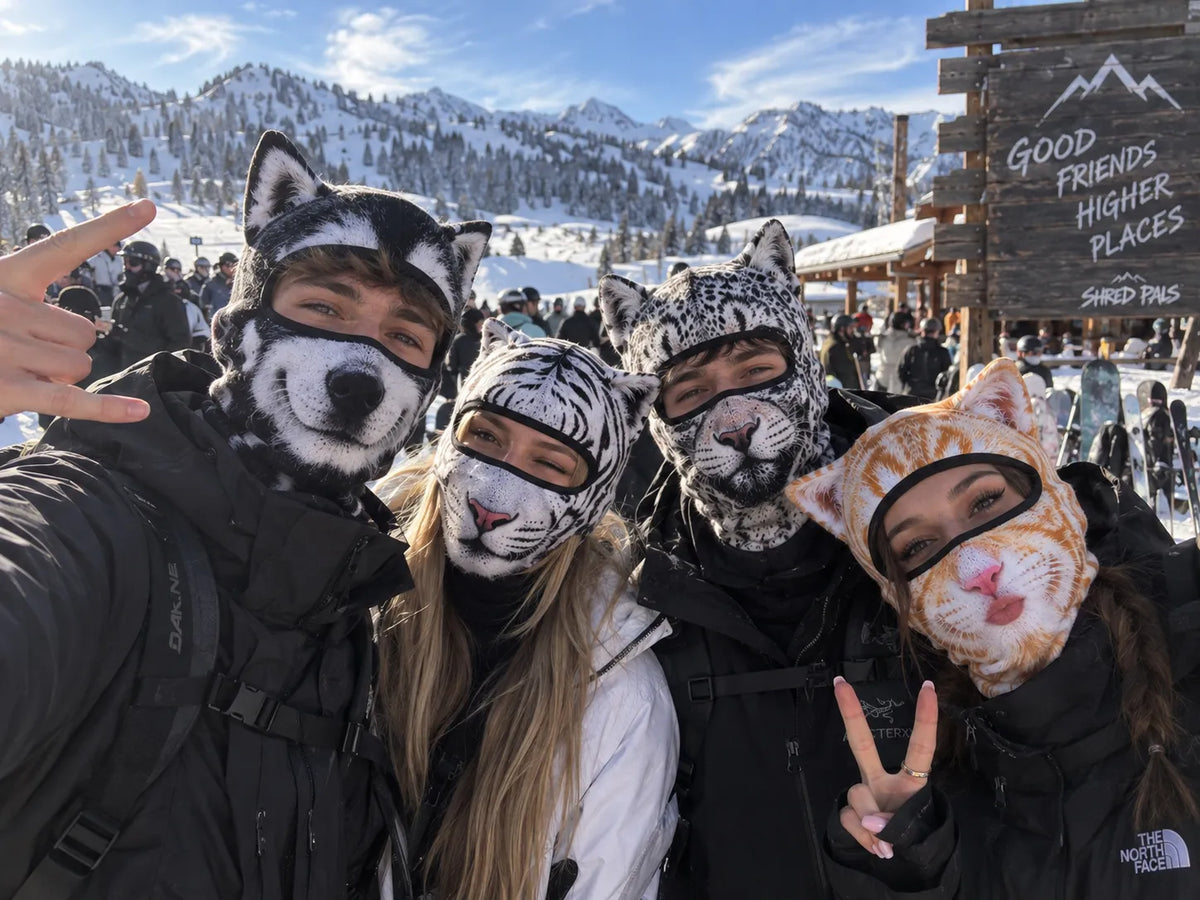 🔥🐱3D Katte-skibalaklava ansiktsmaske med ører dyremaske